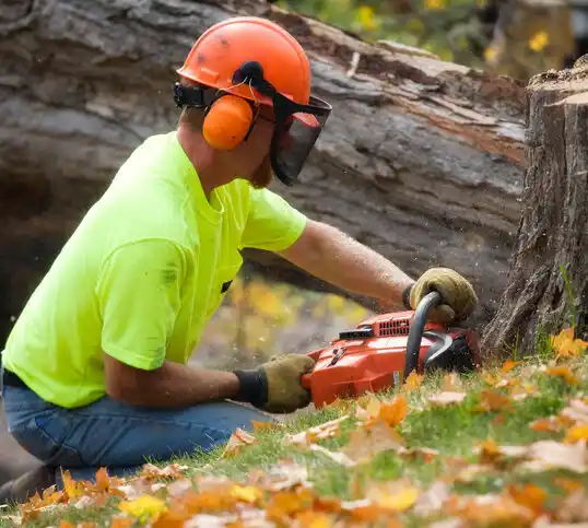 tree services Fort Montgomery